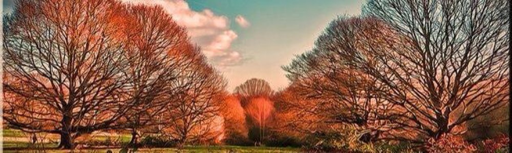 Beamsville Massage Therapy & Wellness